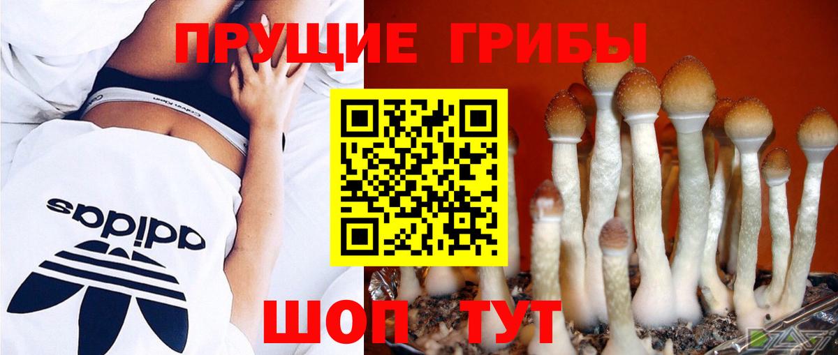 Галлюциногенные грибы мицелий  Галлюциногенные грибы MAGIC MUSHROOMS  Вход с VPN  Комсомольск-на-Амуре 